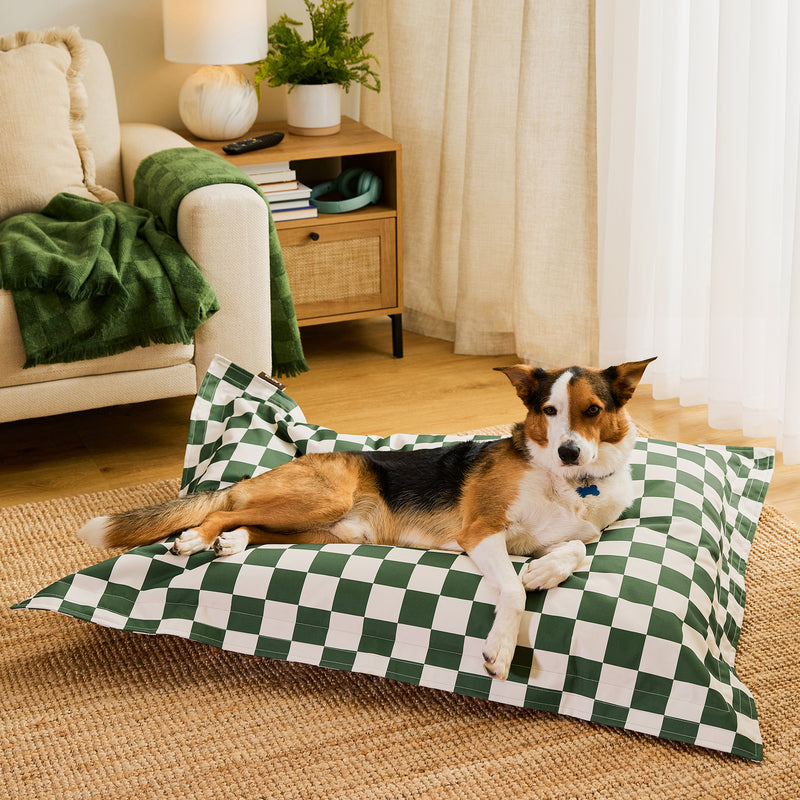 Pet Floor Cushion - Large - Checkerboard Stripe Sage Green